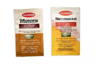 夏日必備的微醺藝術 走進精釀吧，探索啤酒酵母的奇妙世界